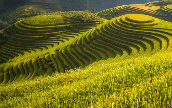 ��߷���������