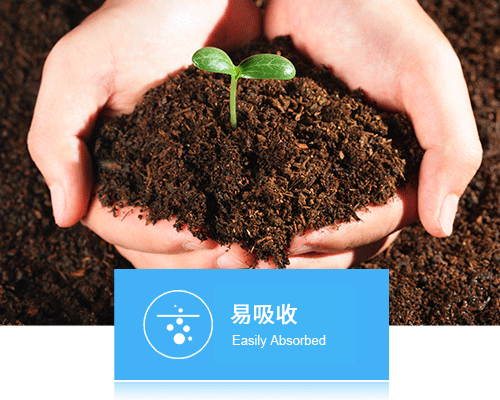 �䷽�ƌW���B(y��ng)���Rȫ