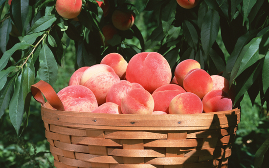 ���M��������