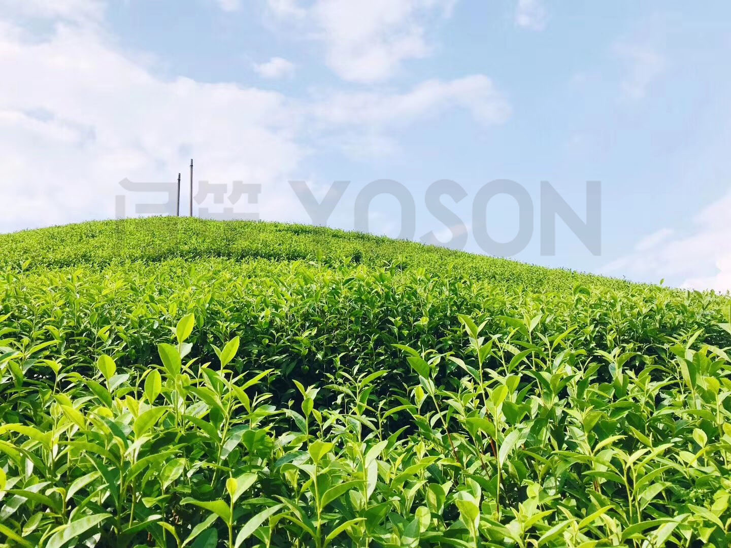 �㽭�����ײ�