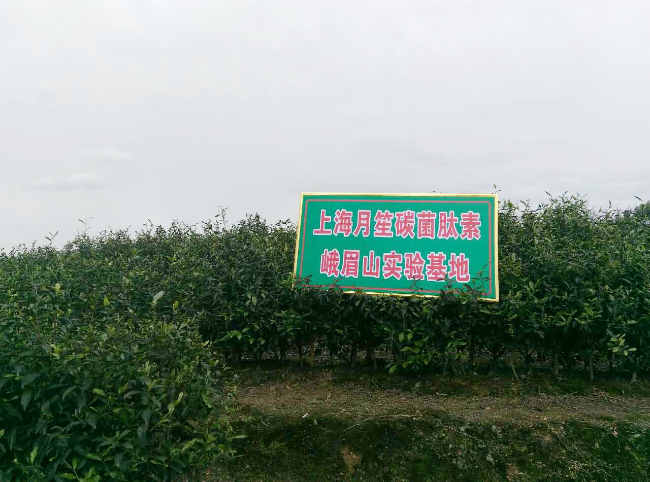 �Ĵ���ü���~��