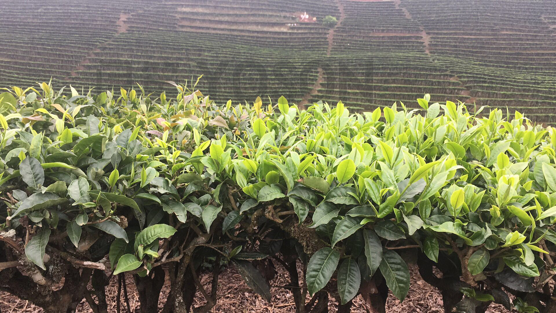 �������p��{�ն�̼�������ЙC�ʌ�����