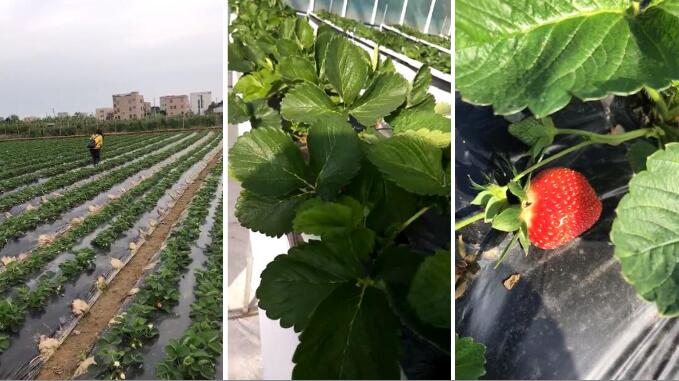 �V�|��ݮ̼�������ЙC(j��)�ʌ�(sh��)�(y��n)����