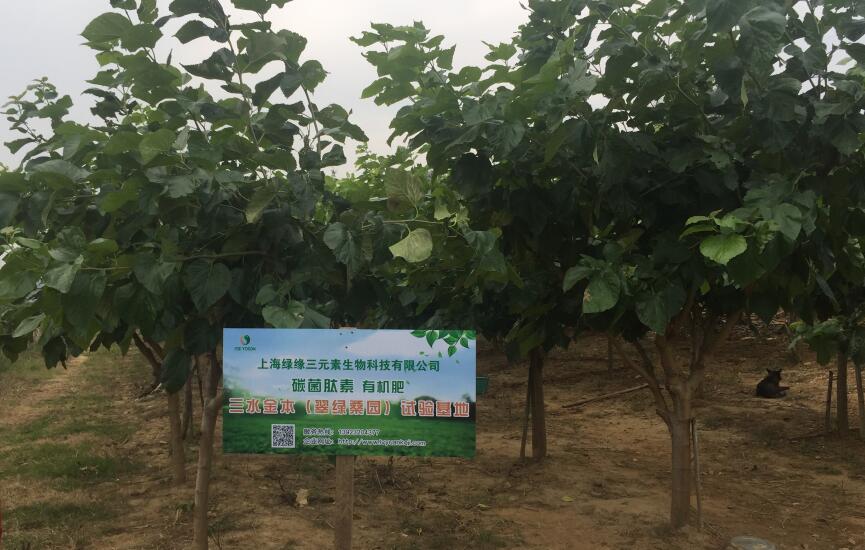 �V�|��ɽɣ����̼�������ЙC��ԇ����