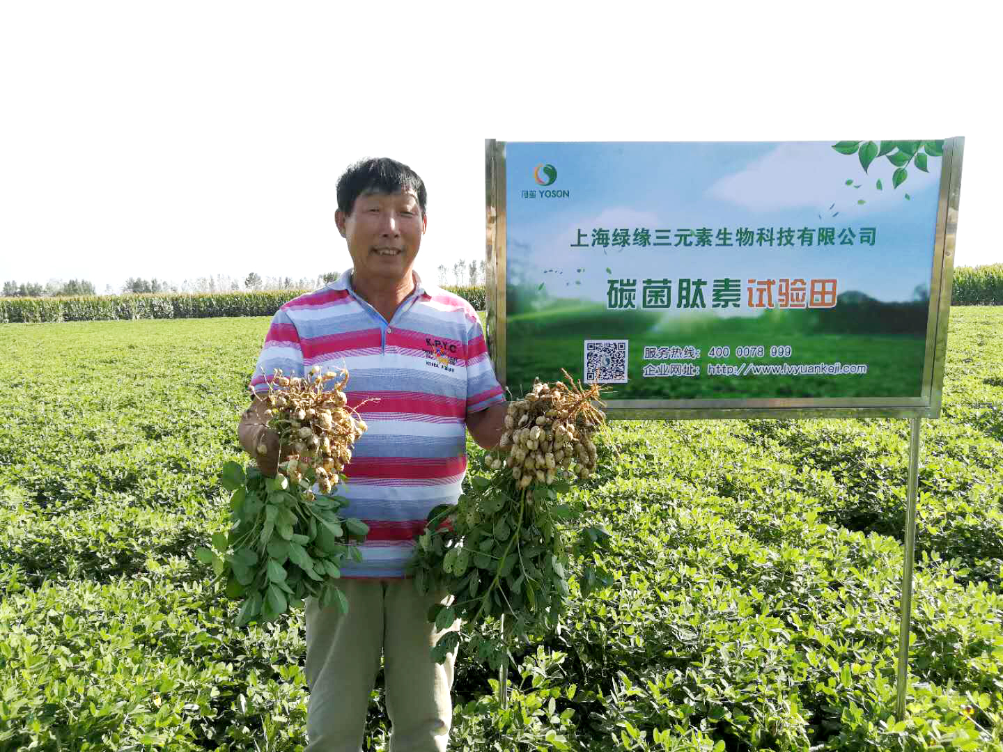 ���Ϸ��ǻ���̼�������ЙC��ʾ������