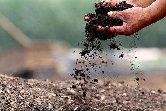 ��Μp�������ЙC(j��)�����a(ch��n)�еĳ���ͮ�ζ��