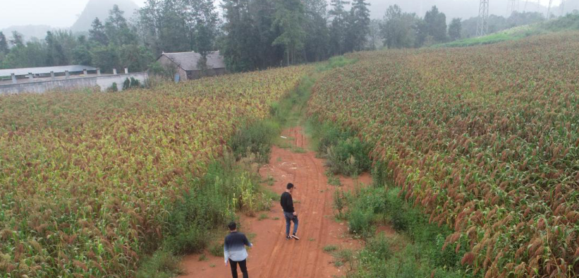 �F��é�_��������߅ʩ�ÏͺϷʣ���߅ʩ��̼�������ЙC��