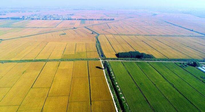 ���y�������ЙC�����^�ɣ�����������Ӱ���Σ�