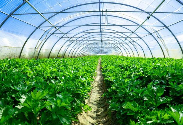 ���W���Ͽ��Բ��Æ᣿�����w���o����ô�k