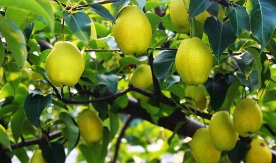 �젖������@�ЙC��ʩ�ü��g(sh��)