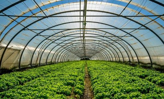 �����ӭ��������c�����o���ИI(y��)׃����