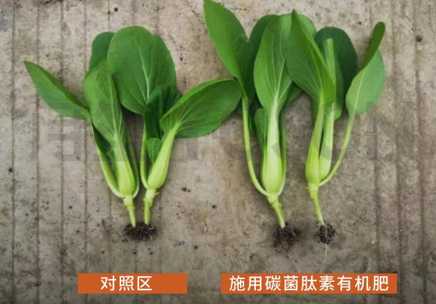 �ЙC(j��)�ʺ������ЙC(j��)����ʲô�^(q��)�e